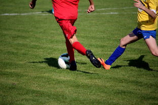 乐鱼体育app官网入口-世界台球联赛中国队勇夺团体亚军，世界台球联赛中国队勇夺团体亚军是谁