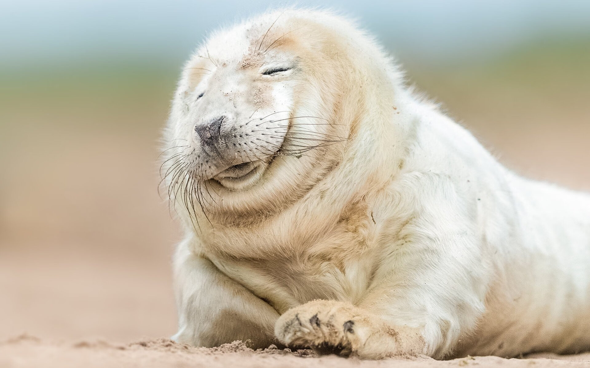 乐鱼体育app官网-世界学联围棋锦标赛中国大学生三冠王，第六届世界大学生围棋锦标赛