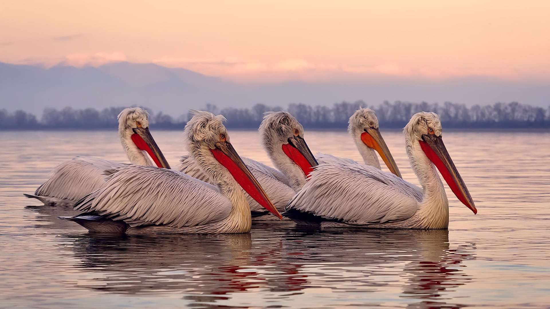 乐鱼体育在线网站-体育课程改革对学生健康素养的影响评估报告，体育课程改革的看法和建议