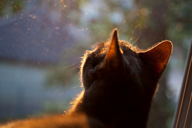乐鱼体育app入口-亚洲杯中国足球战平 球迷鼓励继续前行，亚洲杯足球中国队赛程表