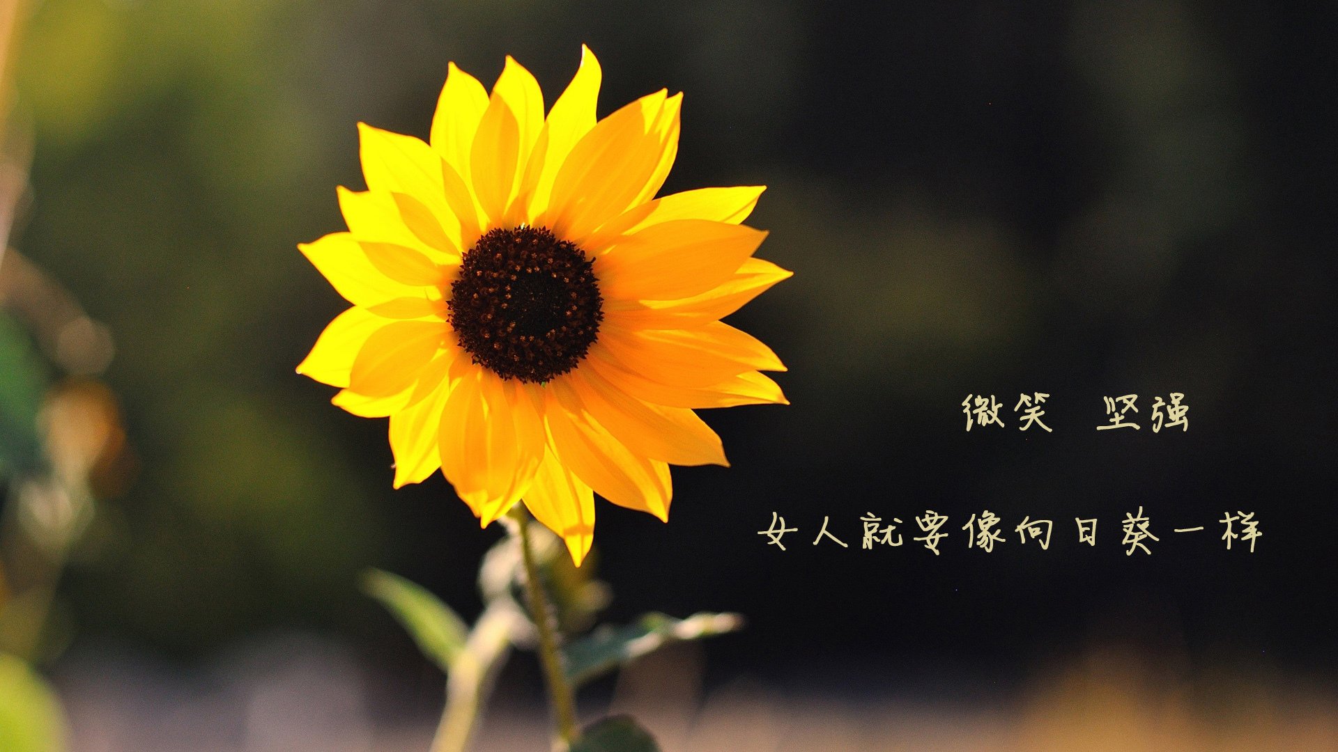 国家女篮备战亚运会蓄势待发,亚运会女子篮球中国队